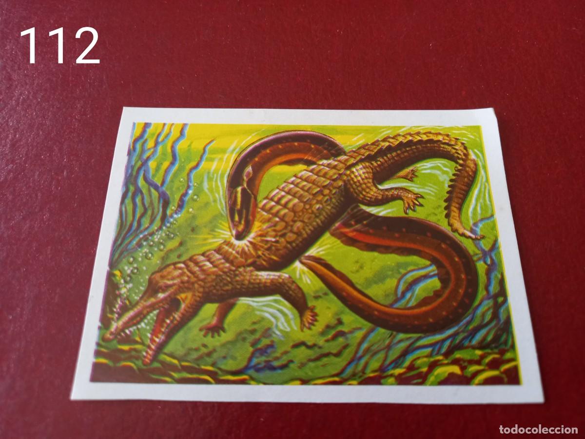 Coleccionismo Cromos antiguos: Cromo n.112 Panorama Zoologico 1973 - Ruiz Romero - sin pegar