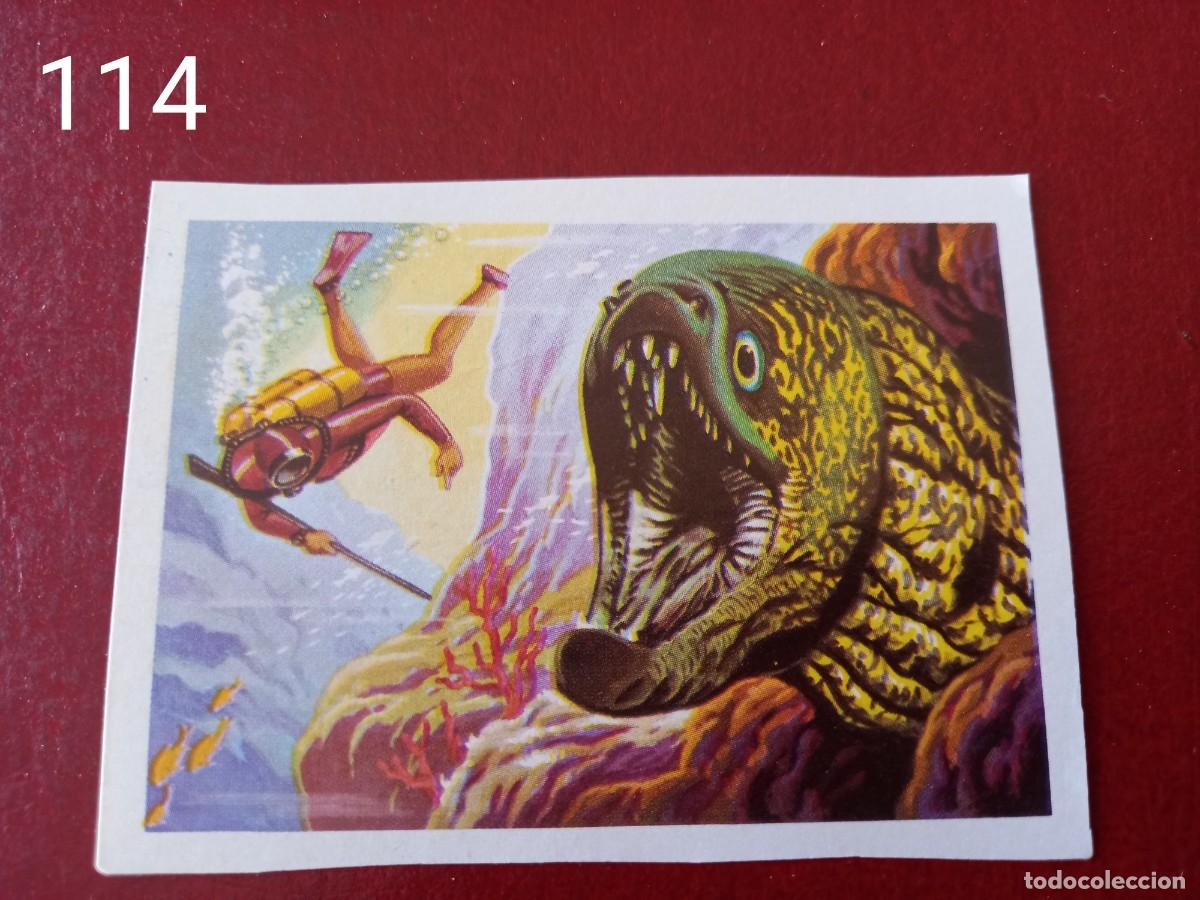 Coleccionismo Cromos antiguos: Cromo n.114 Panorama Zoologico 1973 - Ruiz Romero - sin pegar