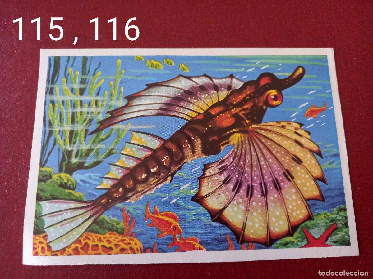 Coleccionismo Cromos antiguos: Cromo doble n.115 y 116 Panorama Zoologico 1973 - Ruiz Romero - sin pegar