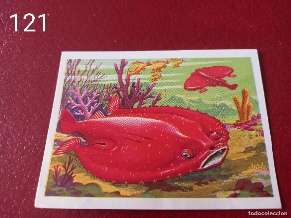 Coleccionismo Cromos antiguos: Cromo n.121 Panorama Zoologico 1973 - Ruiz Romero - sin pegar