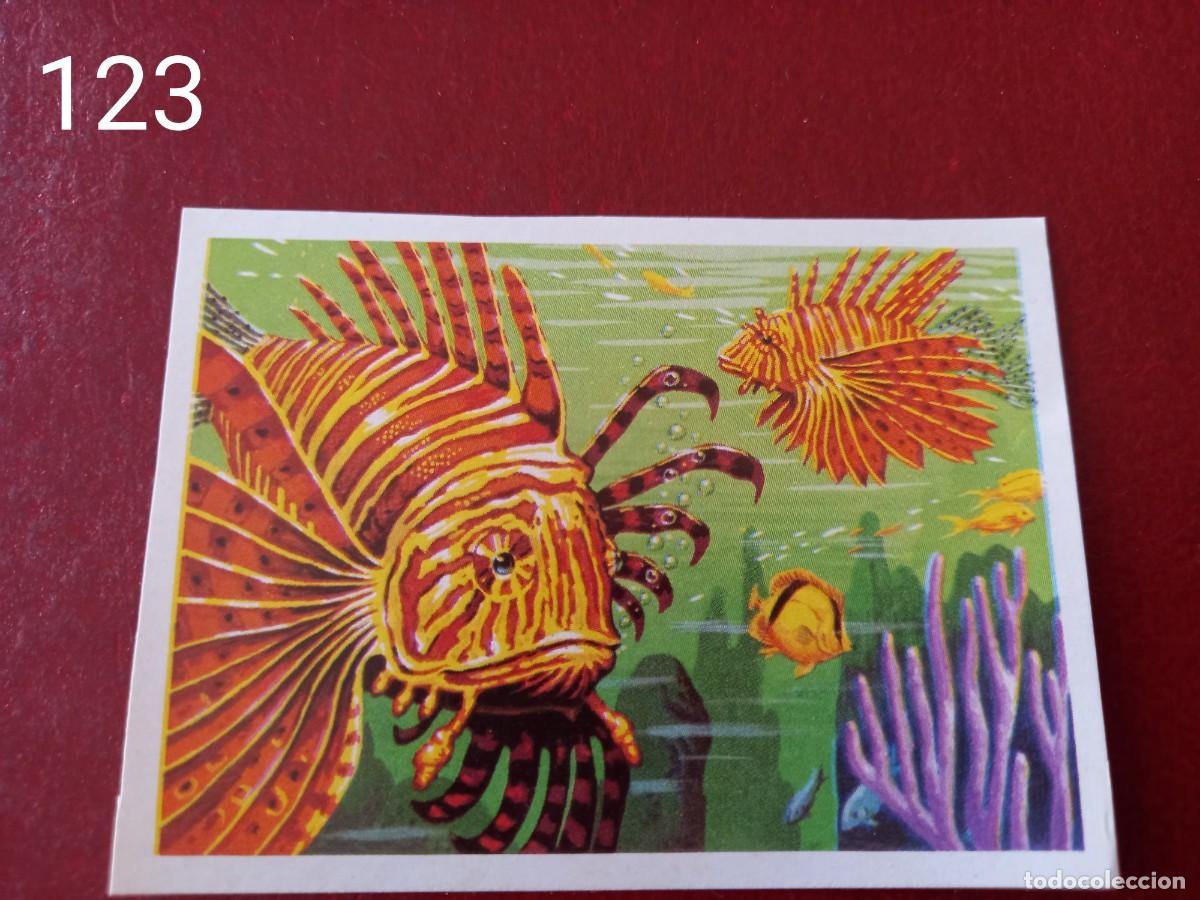 Coleccionismo Cromos antiguos: Cromo n.123 Panorama Zoologico 1973 - Ruiz Romero - sin pegar