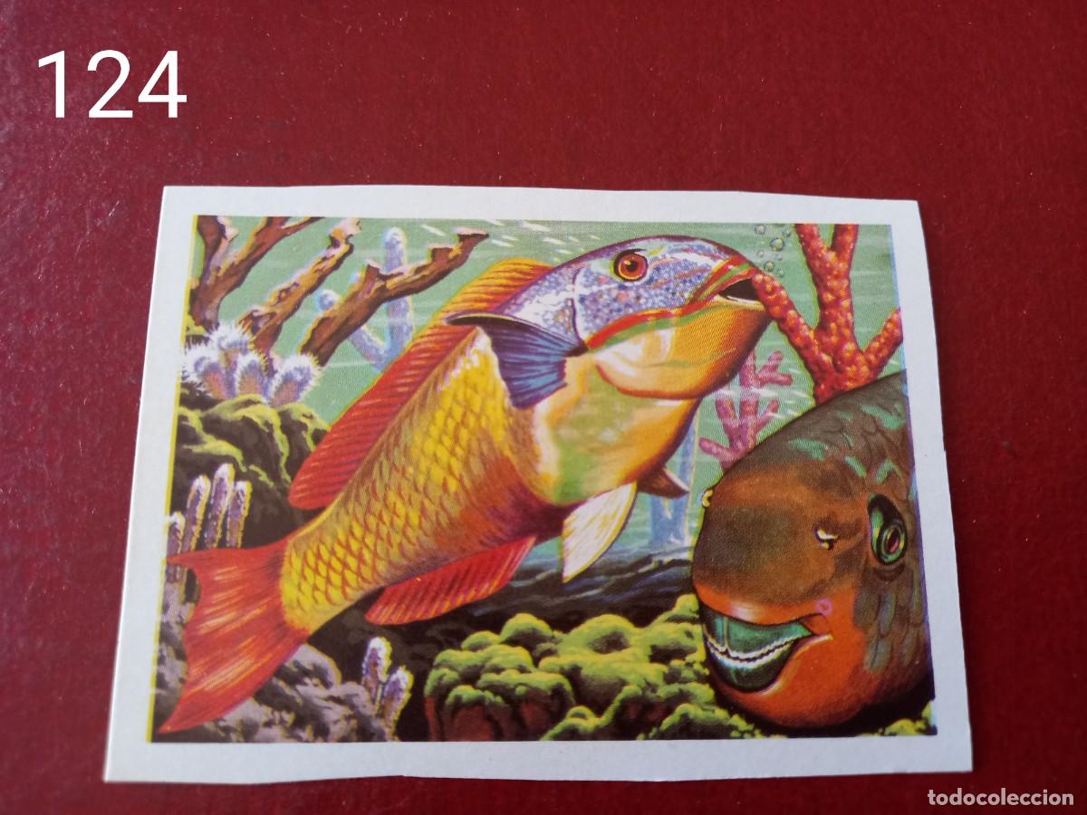 Coleccionismo Cromos antiguos: Cromo n.124 Panorama Zoologico 1973 - Ruiz Romero - sin pegar
