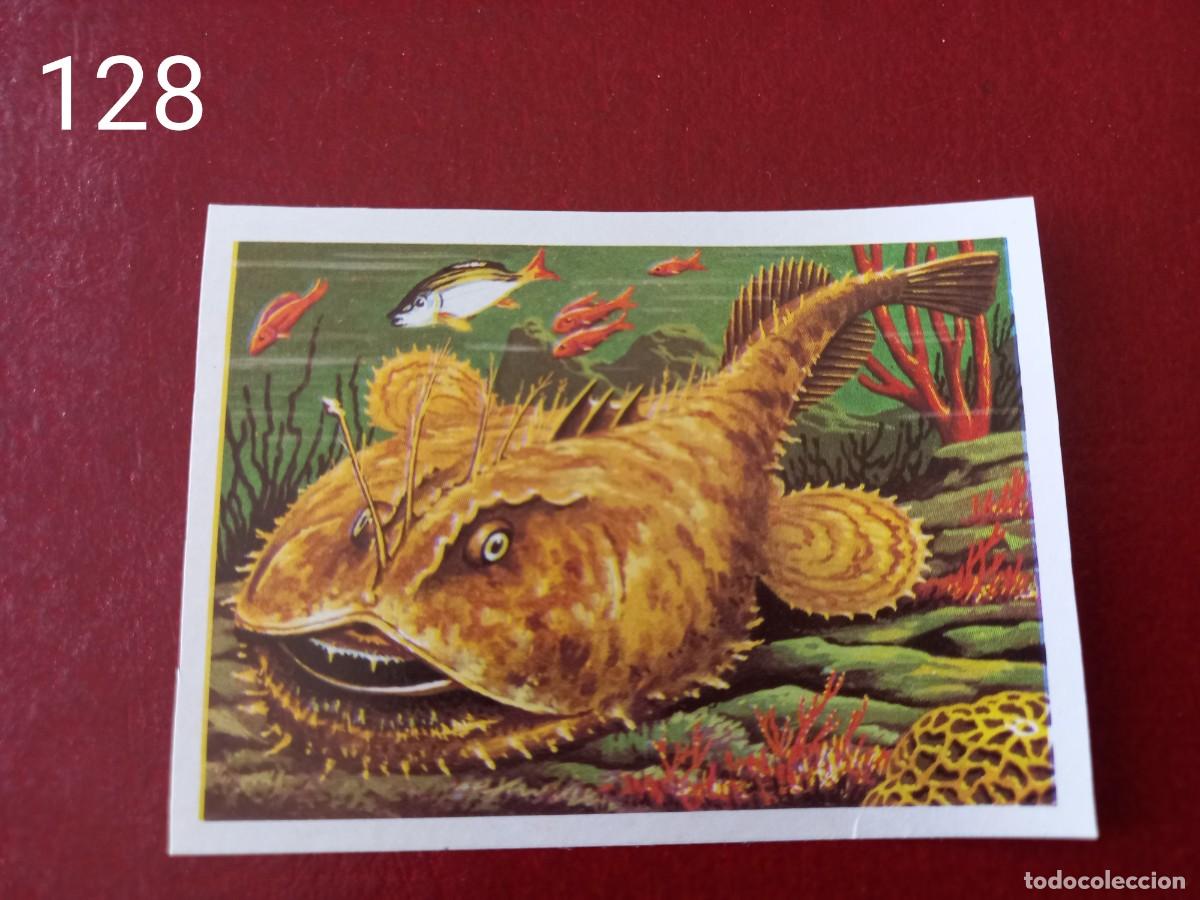 Coleccionismo Cromos antiguos: Cromo n.128 Panorama Zoologico 1973 - Ruiz Romero - sin pegar