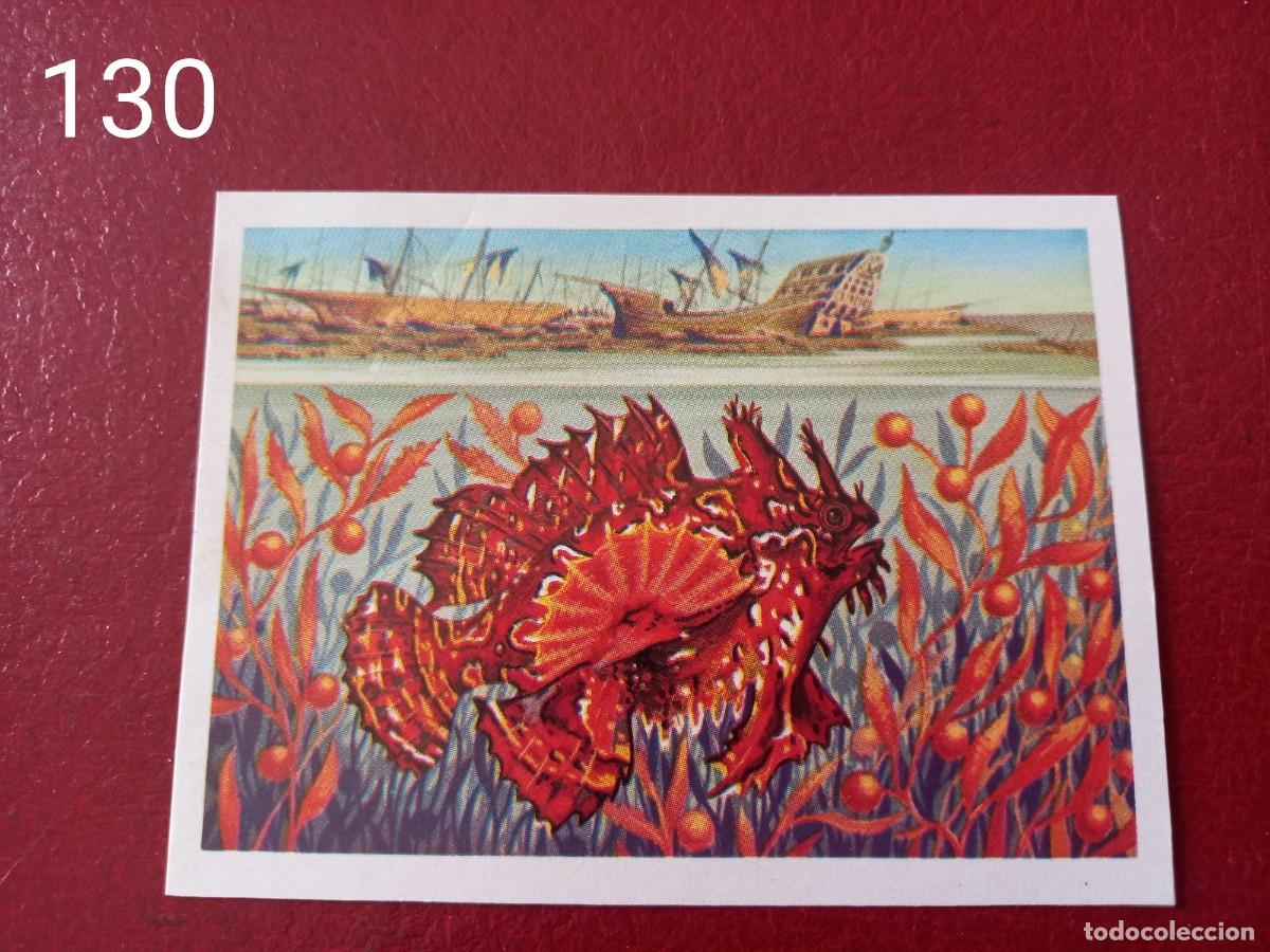 Coleccionismo Cromos antiguos: Cromo n.130 Panorama Zoologico 1973 - Ruiz Romero - sin pegar