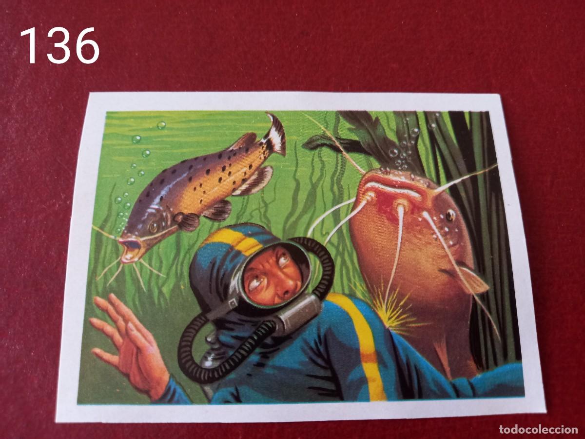 Coleccionismo Cromos antiguos: Cromo n.136 Panorama Zoologico 1973 - Ruiz Romero - sin pegar