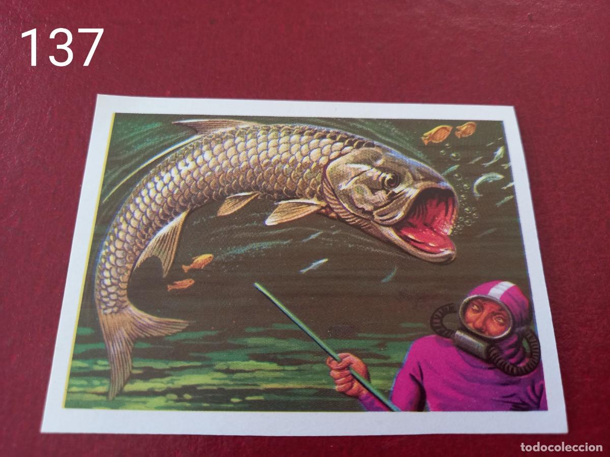 Coleccionismo Cromos antiguos: Cromo n.137 Panorama Zoologico 1973 - Ruiz Romero - sin pegar