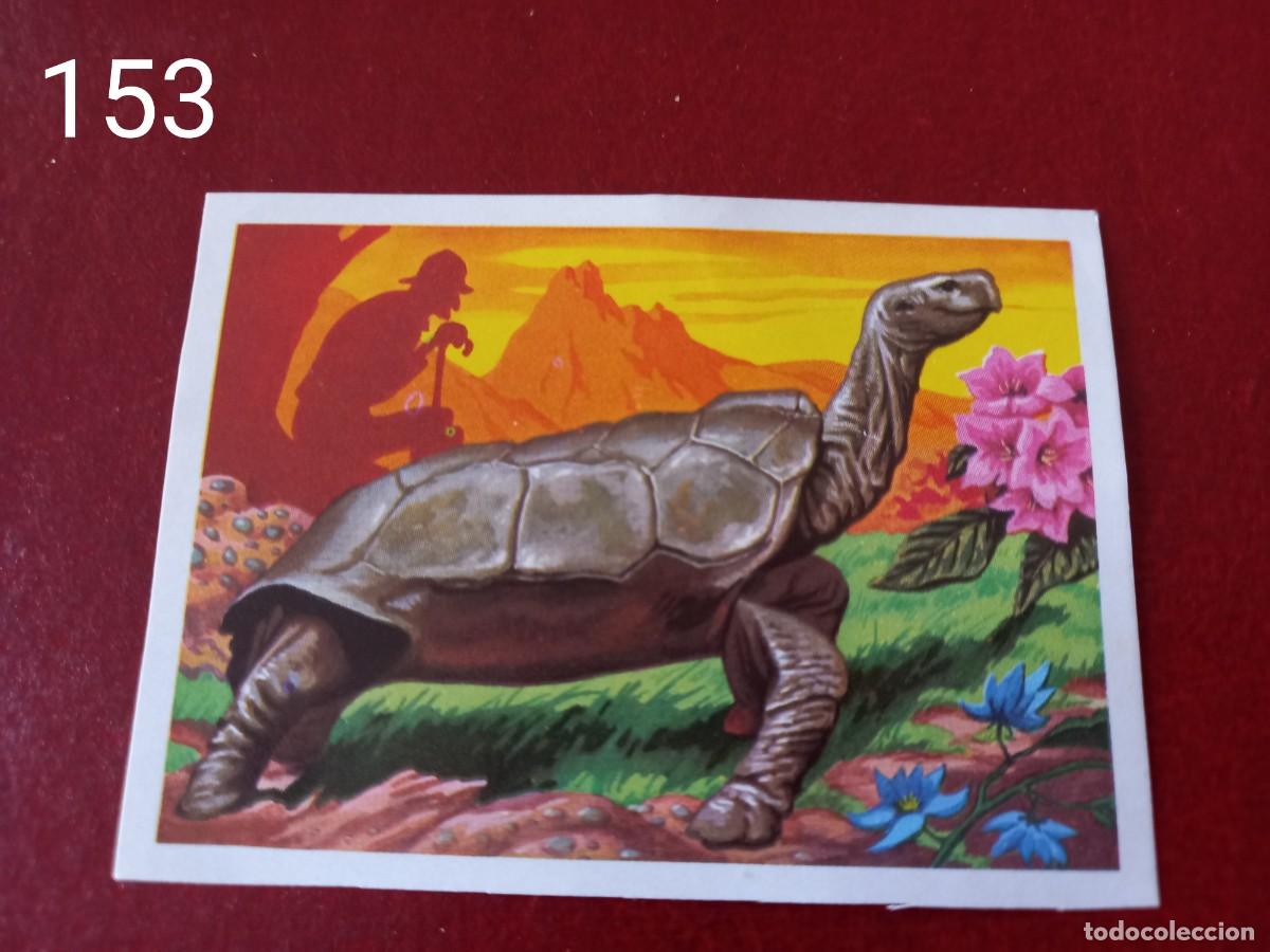 Coleccionismo Cromos antiguos: Cromo n.153 Panorama Zoologico 1973 - Ruiz Romero - sin pegar