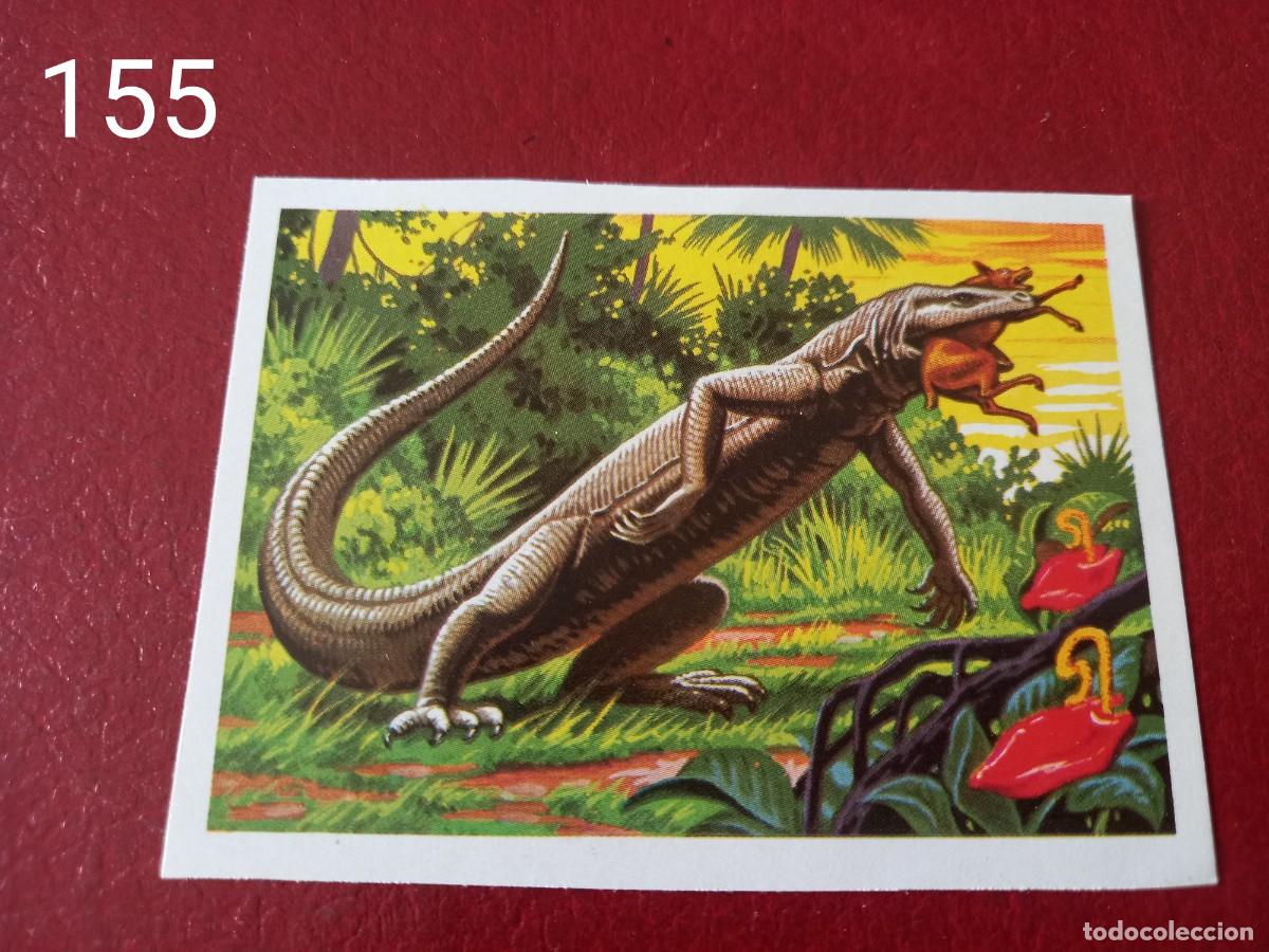 Coleccionismo Cromos antiguos: Cromo n.155 Panorama Zoologico 1973 - Ruiz Romero - sin pegar