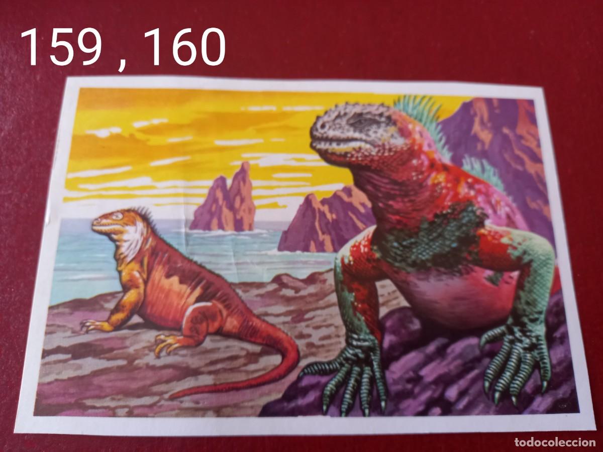 Coleccionismo Cromos antiguos: Cromo doble n.159 y 160 Panorama Zoologico 1973 - Ruiz Romero - sin pegar