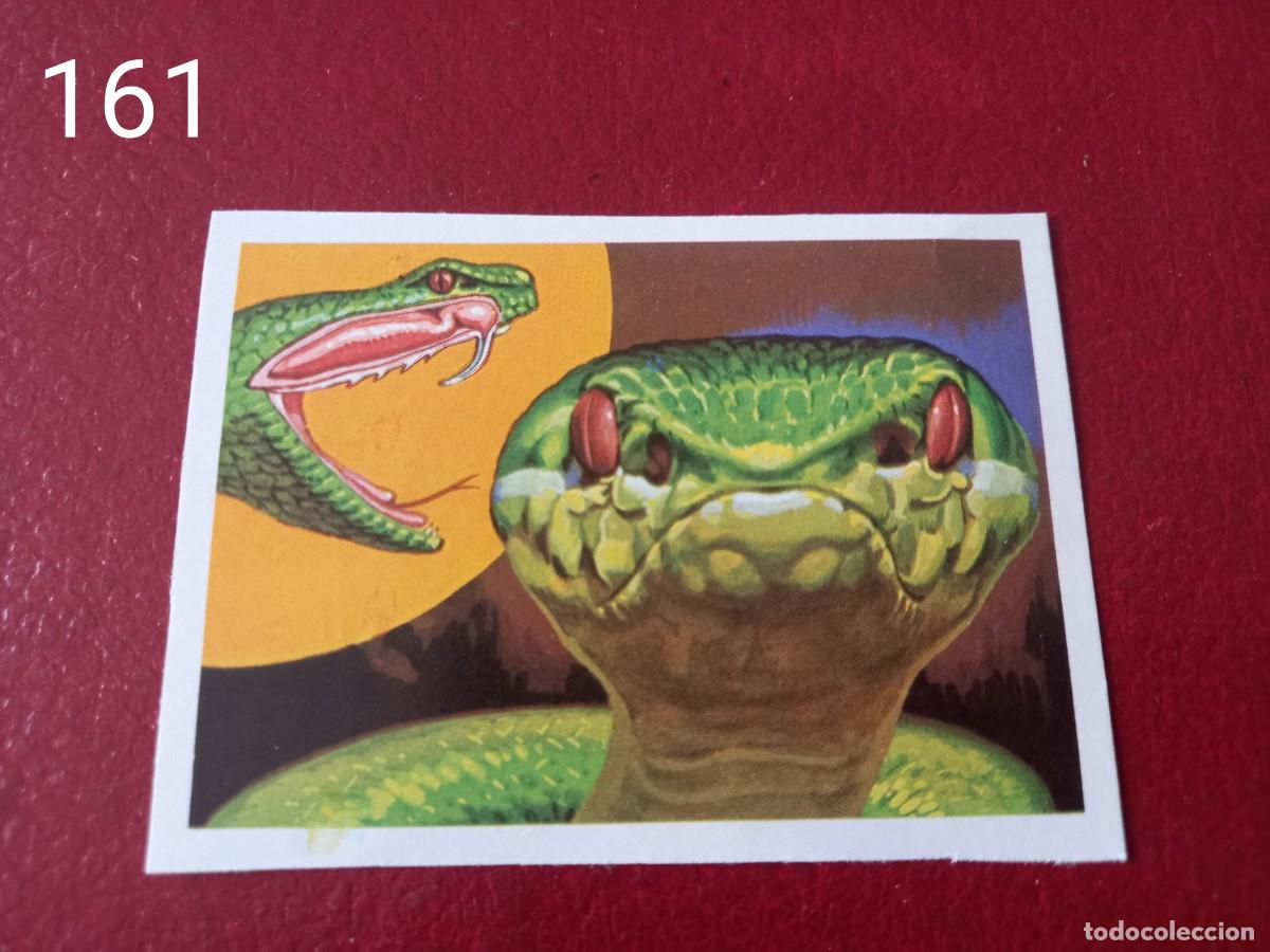 Coleccionismo Cromos antiguos: Cromo n.161 Panorama Zoologico 1973 - Ruiz Romero - sin pegar