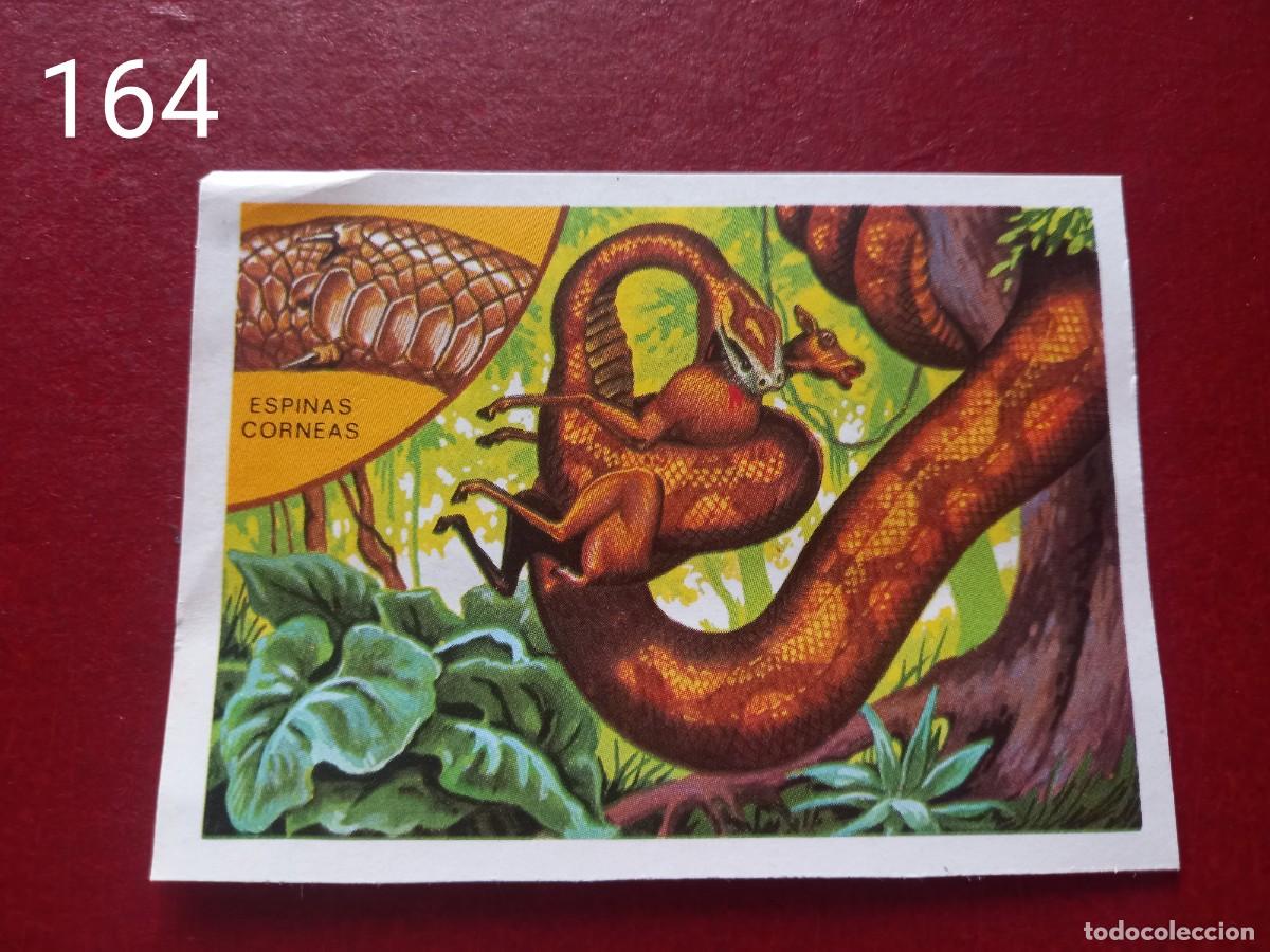Coleccionismo Cromos antiguos: Cromo n.164 Panorama Zoologico 1973 - Ruiz Romero - sin pegar