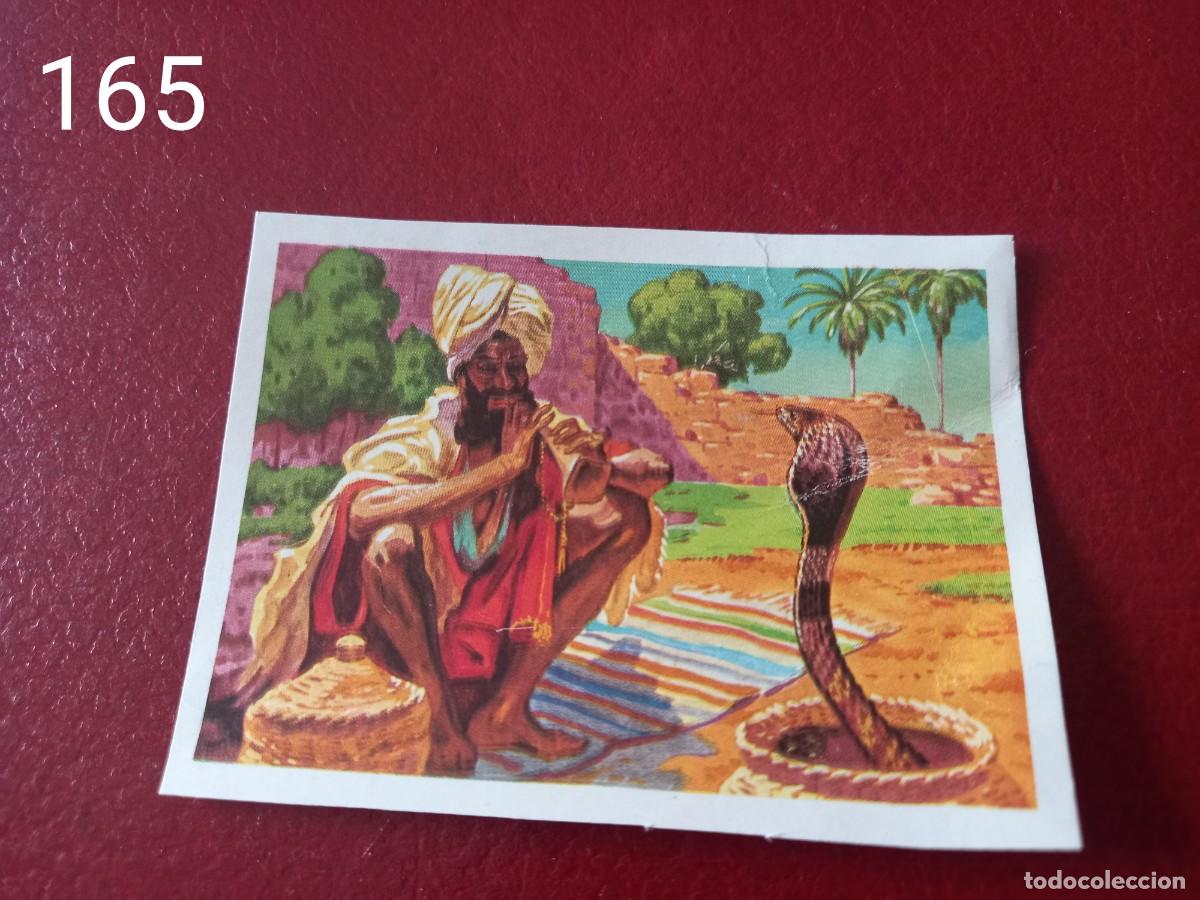 Coleccionismo Cromos antiguos: Cromo n.165 Panorama Zoologico 1973 - Ruiz Romero - sin pegar