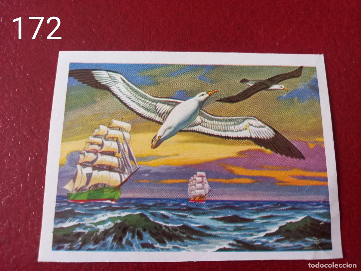 Coleccionismo Cromos antiguos: Cromo n.172 Panorama Zoologico 1973 - Ruiz Romero - sin pegar
