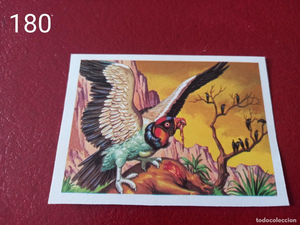 Coleccionismo Cromos antiguos: Cromo n.180 Panorama Zoologico 1973 - Ruiz Romero - sin pegar