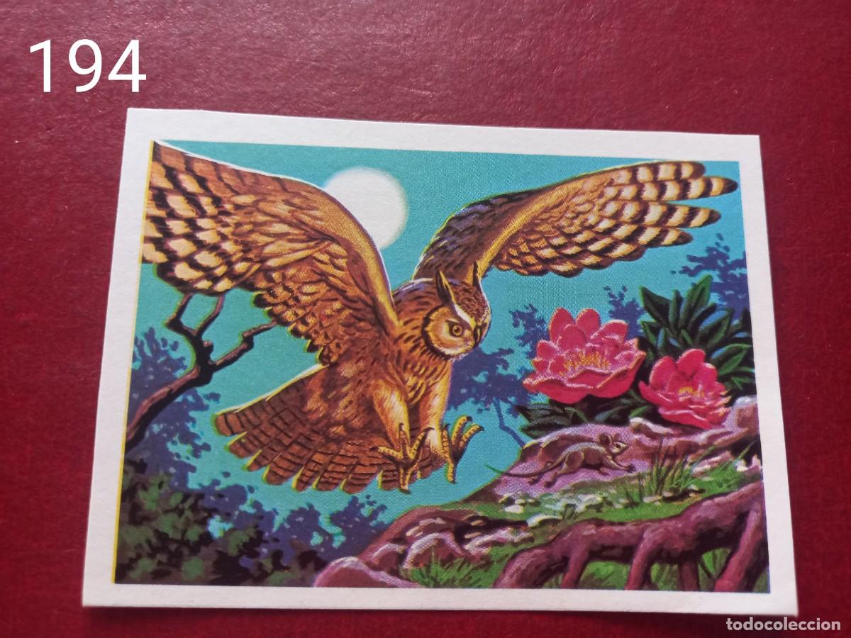 Coleccionismo Cromos antiguos: Cromo n.194 Panorama Zoologico 1973 - Ruiz Romero - sin pegar