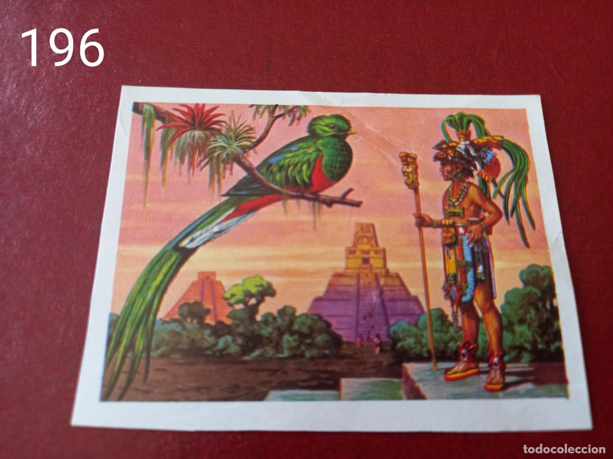Coleccionismo Cromos antiguos: Cromo n.196 Panorama Zoologico 1973 - Ruiz Romero - sin pegar