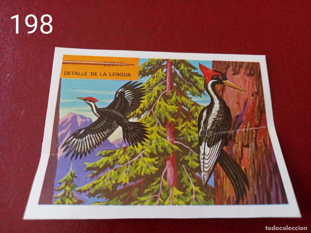 Coleccionismo Cromos antiguos: Cromo n.198 Panorama Zoologico 1973 - Ruiz Romero - sin pegar