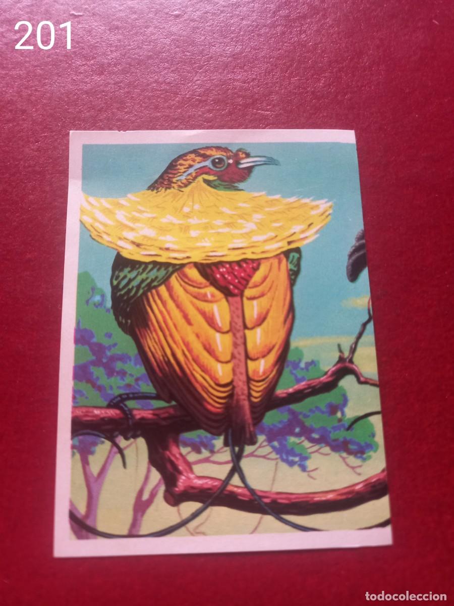 Coleccionismo Cromos antiguos: Cromo n.201 Panorama Zoologico 1973 - Ruiz Romero - sin pegar