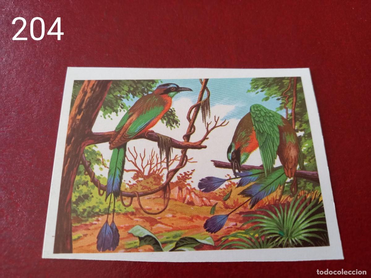 Coleccionismo Cromos antiguos: Cromo n.204 Panorama Zoologico 1973 - Ruiz Romero - sin pegar