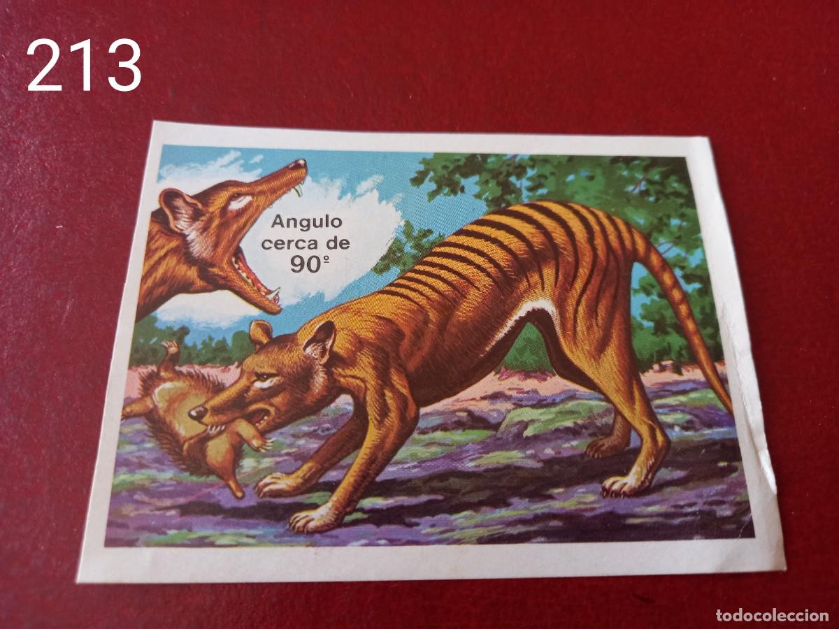 Coleccionismo Cromos antiguos: Cromo n.213 Panorama Zoologico 1973 - Ruiz Romero - sin pegar