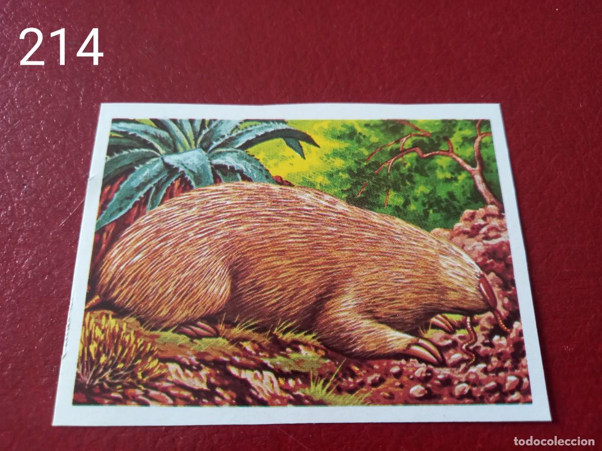 Coleccionismo Cromos antiguos: Cromo n.214 Panorama Zoologico 1973 - Ruiz Romero - sin pegar