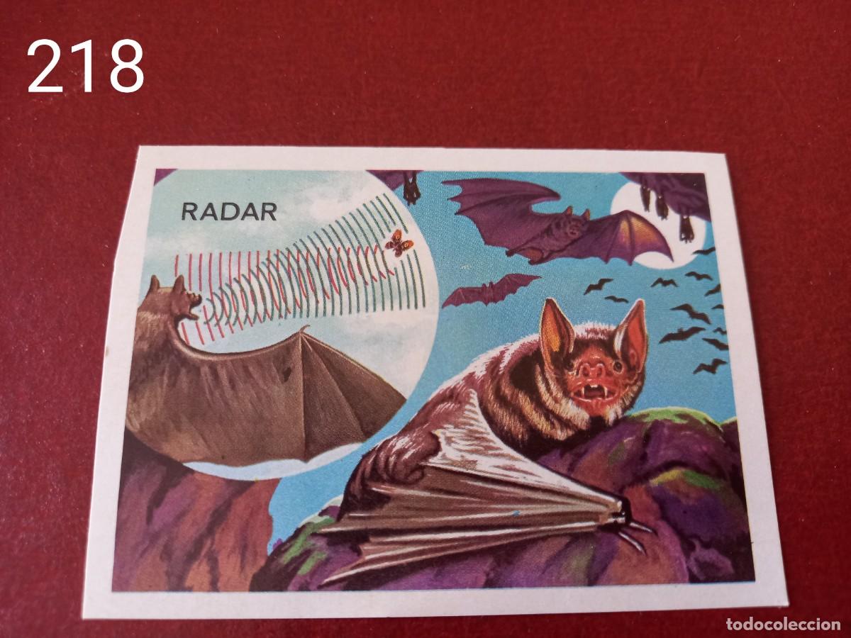 Coleccionismo Cromos antiguos: Cromo n.218 Panorama Zoologico 1973 - Ruiz Romero - sin pegar