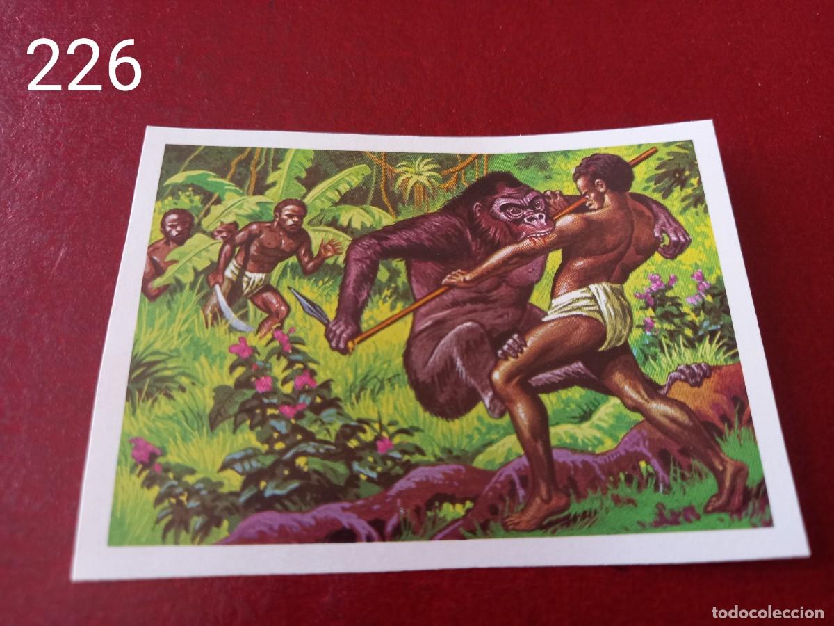 Coleccionismo Cromos antiguos: Cromo n.226 Panorama Zoologico 1973 - Ruiz Romero - sin pegar