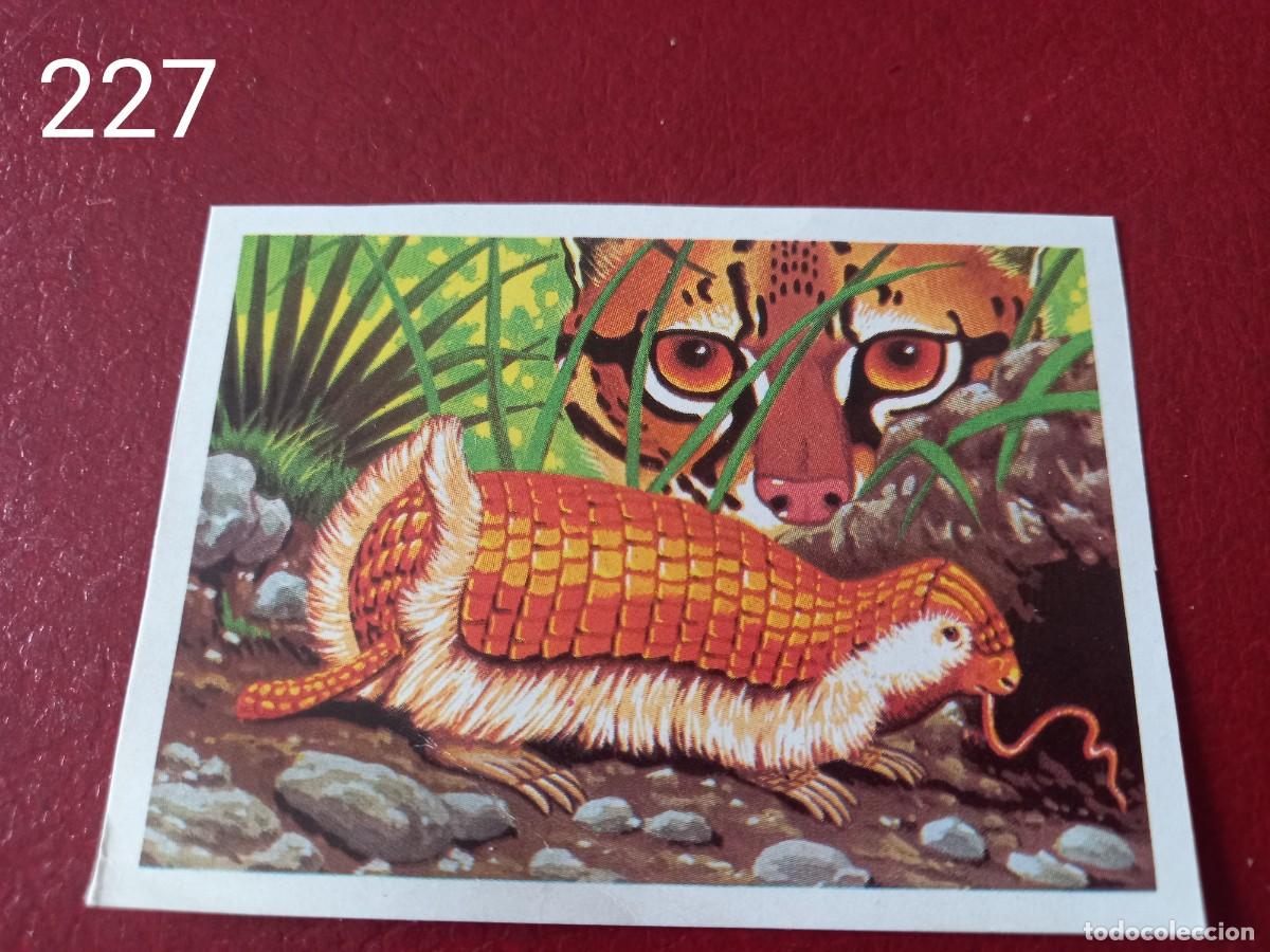 Coleccionismo Cromos antiguos: Cromo n.227 Panorama Zoologico 1973 - Ruiz Romero - sin pegar