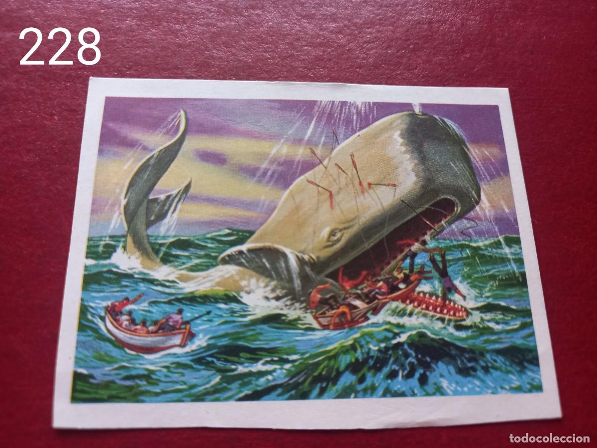Coleccionismo Cromos antiguos: Cromo n.228 Panorama Zoologico 1973 - Ruiz Romero - sin pegar