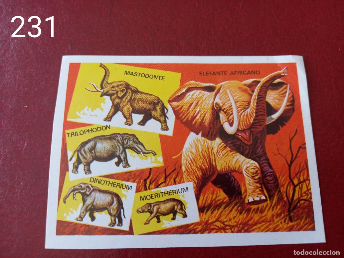 Coleccionismo Cromos antiguos: Cromo n.231 Panorama Zoologico 1973 - Ruiz Romero - sin pegar