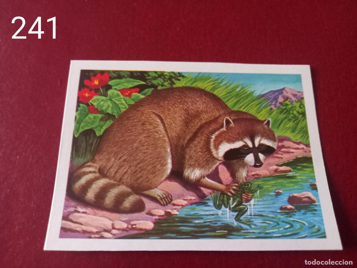 Coleccionismo Cromos antiguos: Cromo n.241 Panorama Zoologico 1973 - Ruiz Romero - sin pegar
