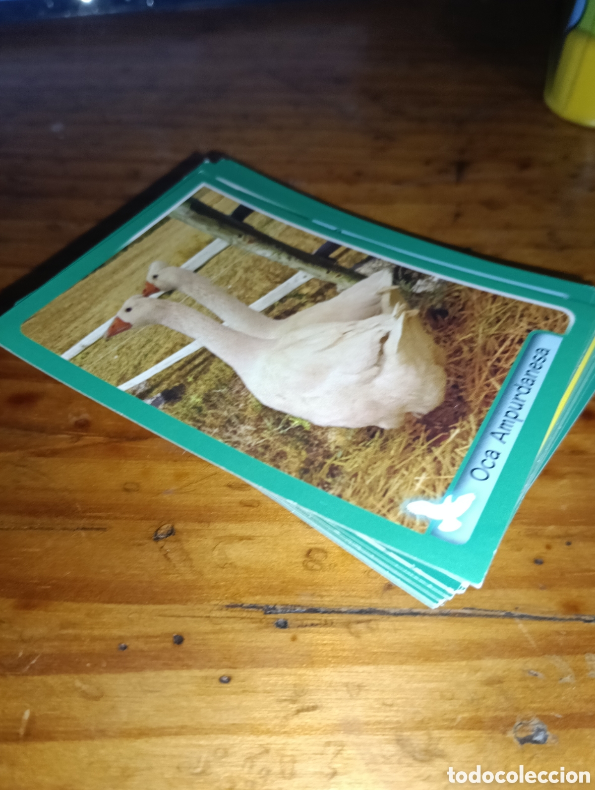 Coleccionismo Cromos antiguos: 50 cromos sin repetir El gran Album del mundo Animal 2014 Panini