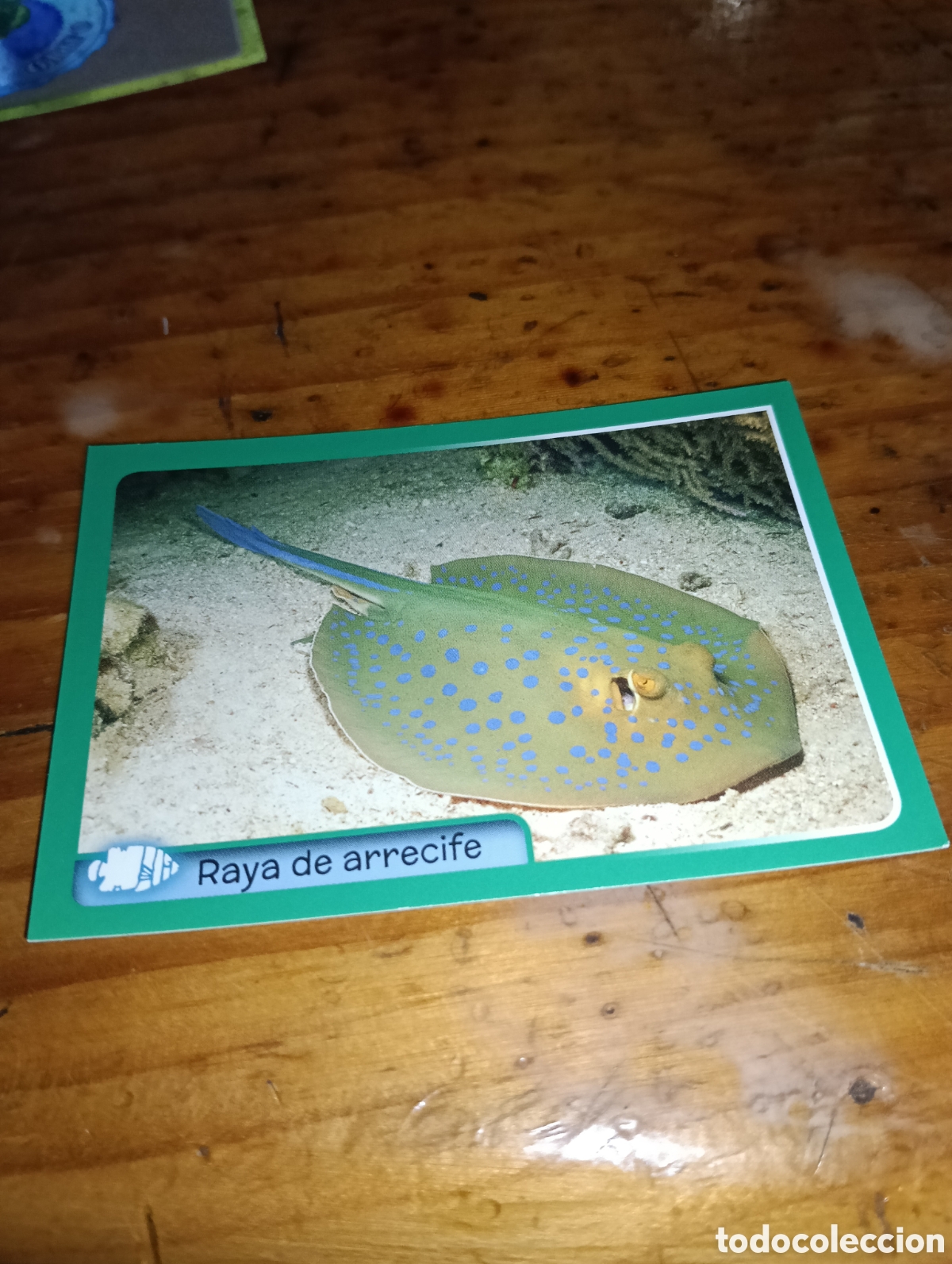 Coleccionismo Cromos antiguos: Cromo 51 El gran Album del mundo animal 2014 Panini