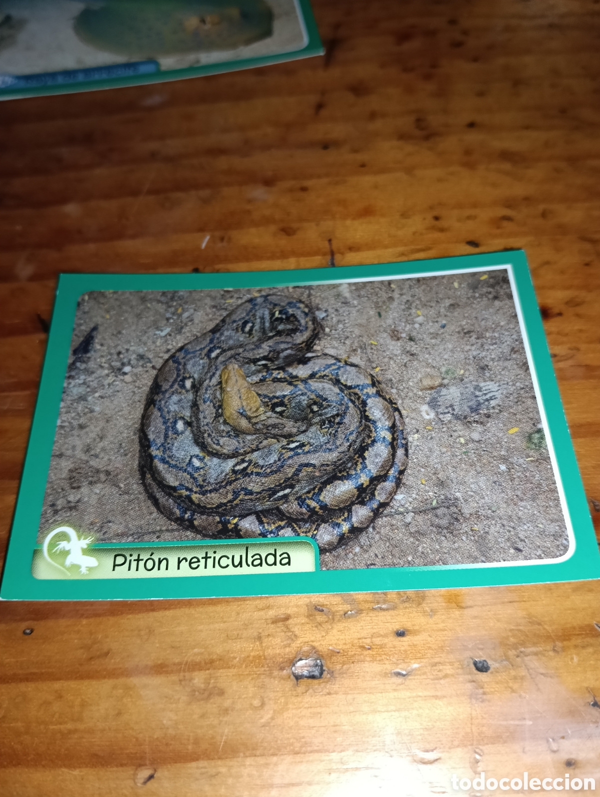 Coleccionismo Cromos antiguos: Cromo 103 El gran Album del mundo animal 2014 Panini
