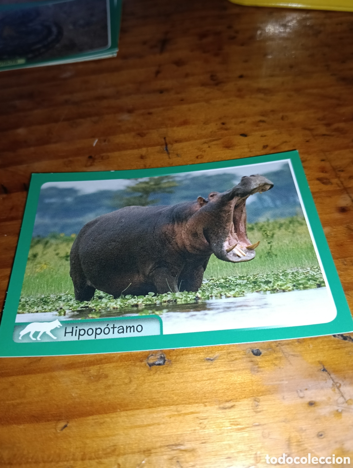 Coleccionismo Cromos antiguos: Cromo 113 El gran Album del mundo animal 2014 Panini