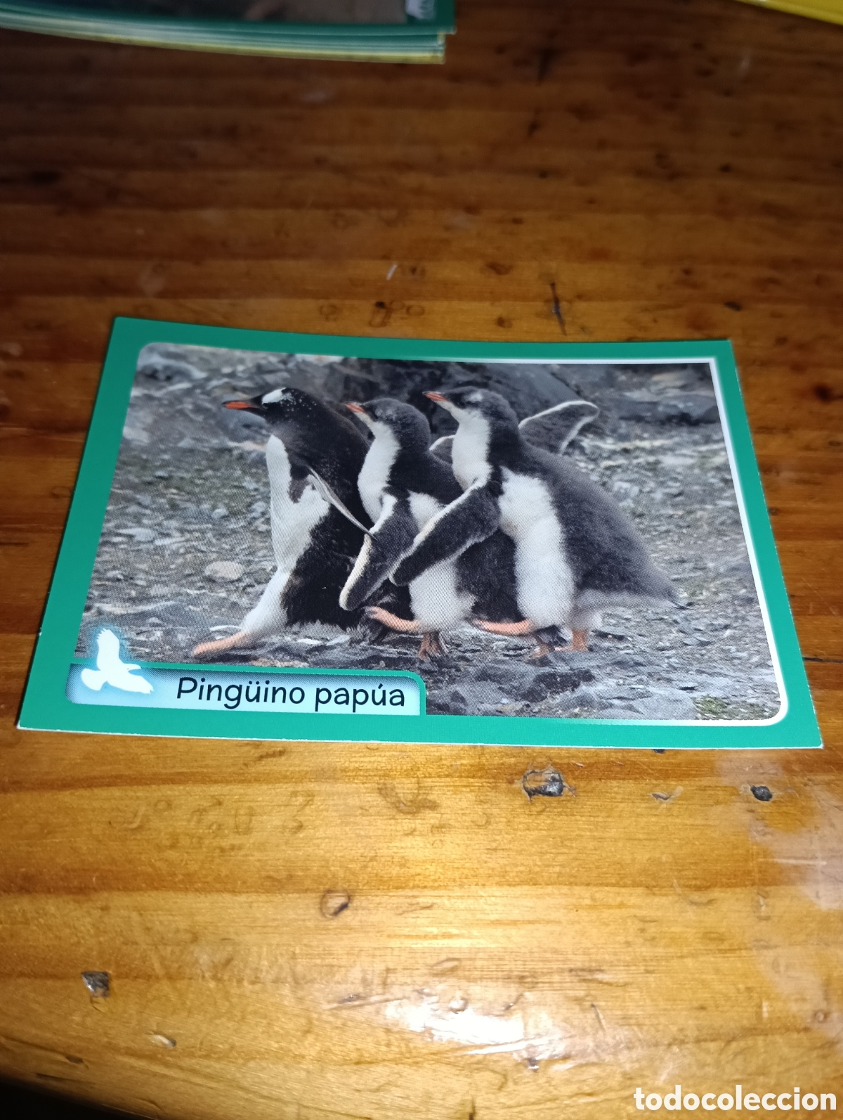Coleccionismo Cromos antiguos: Cromo 190 El gran Album del mundo animal 2014 panini