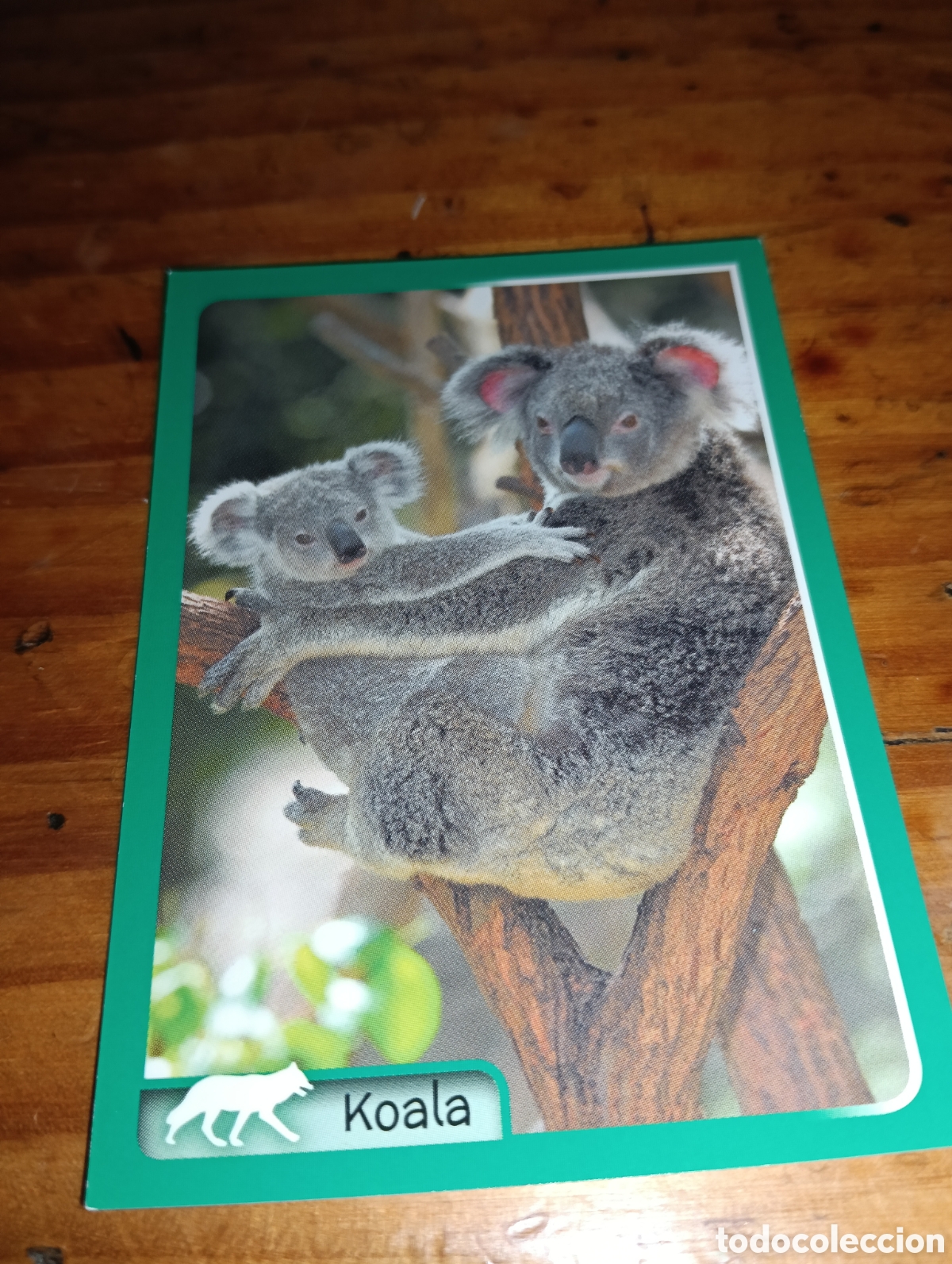Sammeln alte Sammelbilder: Cromo 245 El gran Album del mundo animal 2014 panini