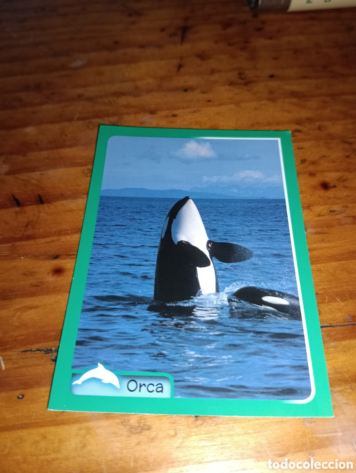 Coleccionismo Cromos antiguos: Cromo 266 El gran Album del mundo animal 2014 panini