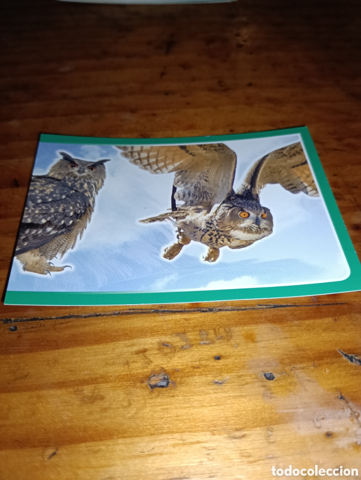 Coleccionismo Cromos antiguos: Cromo 280 El gran Album del mundo animal 2014 panini