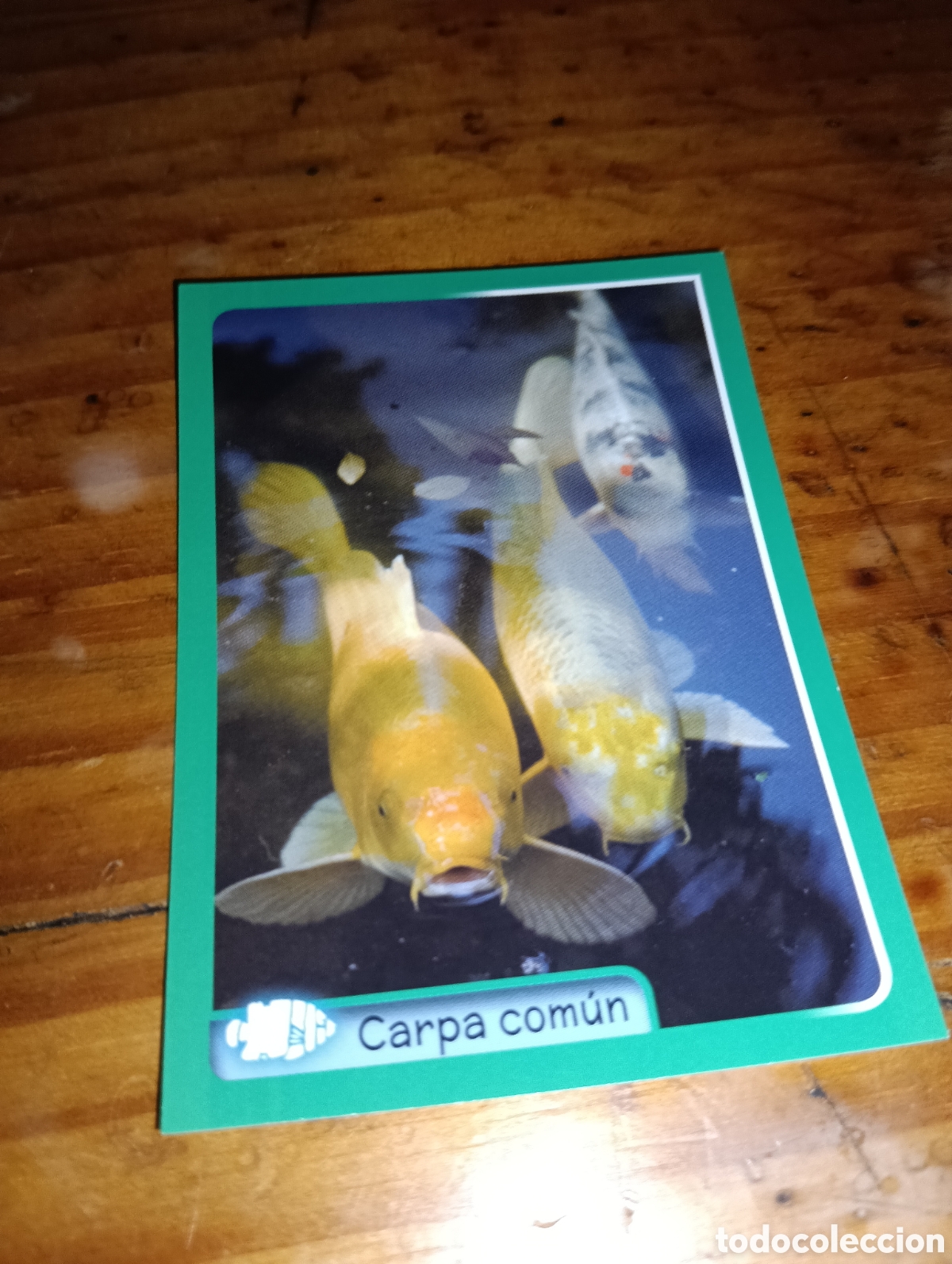 Coleccionismo Cromos antiguos: Cromo 285 El gran Album del mundo animal 2014 panini
