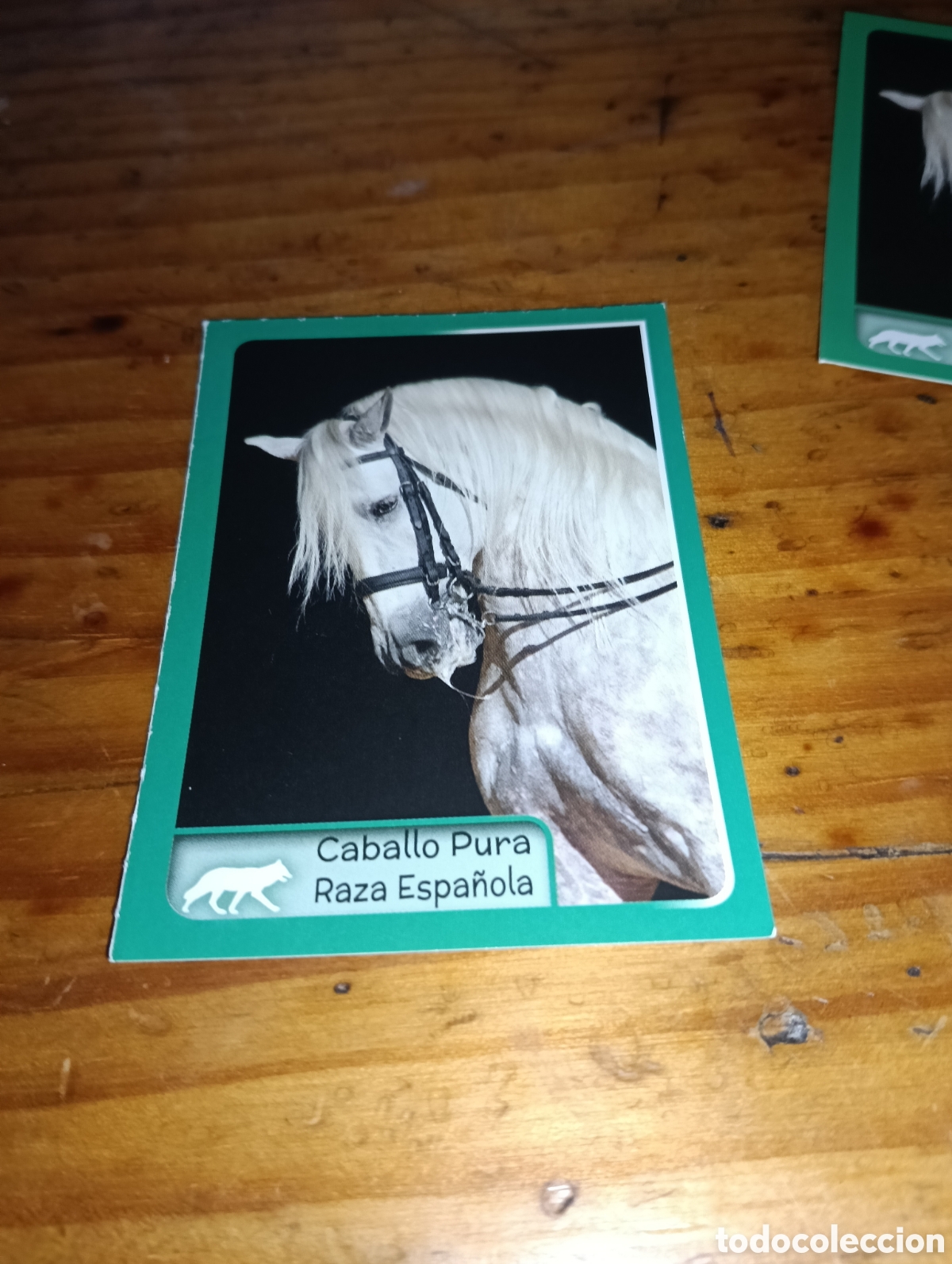 Coleccionismo Cromos antiguos: Cromo 330 El gran Album del mundo animal 2014 panini