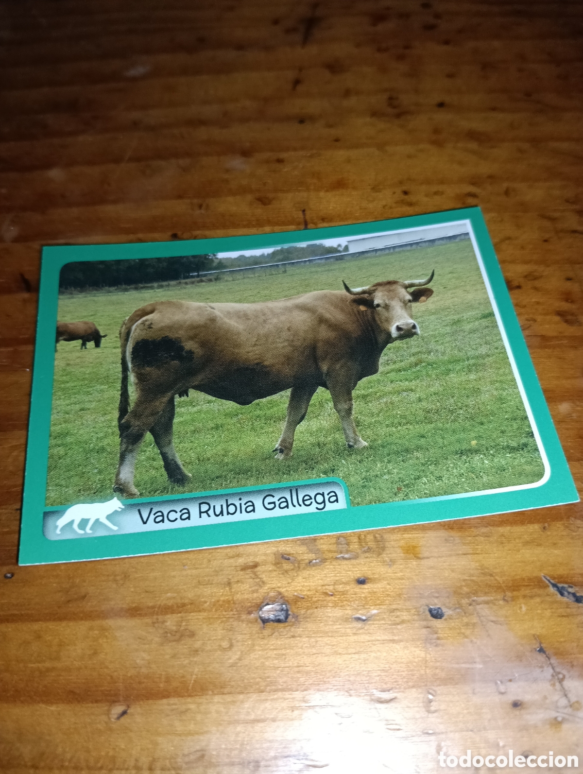 Coleccionismo Cromos antiguos: Cromo 331 El gran Album del mundo animal 2014 panini