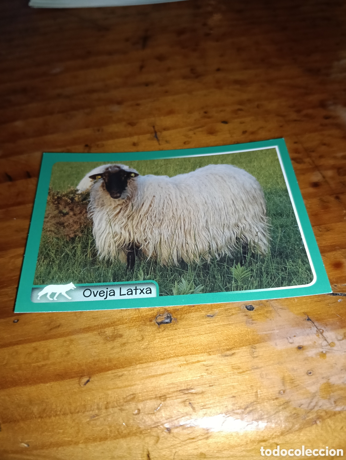 Coleccionismo Cromos antiguos: Cromo 335 El gran Album del mundo animal 2014 panini
