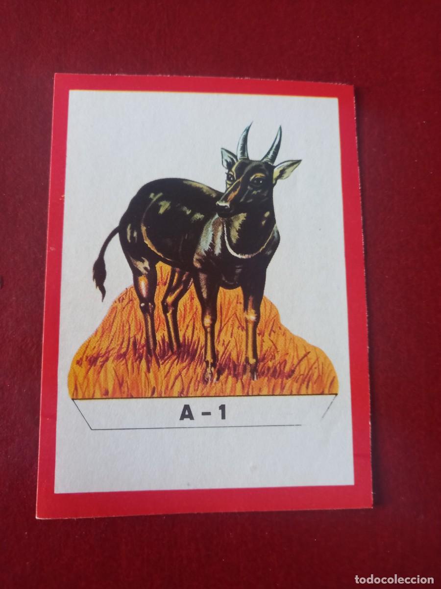 Coleccionismo Cromos antiguos: Cromo A1 recortable para album Panorama Zoologico - ruiz romero