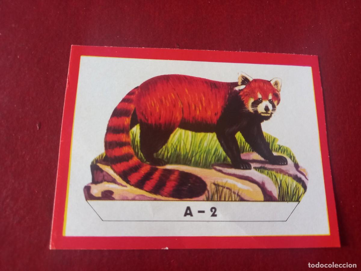 Coleccionismo Cromos antiguos: Cromo A2 recortable para album Panorama Zoologico - ruiz romero