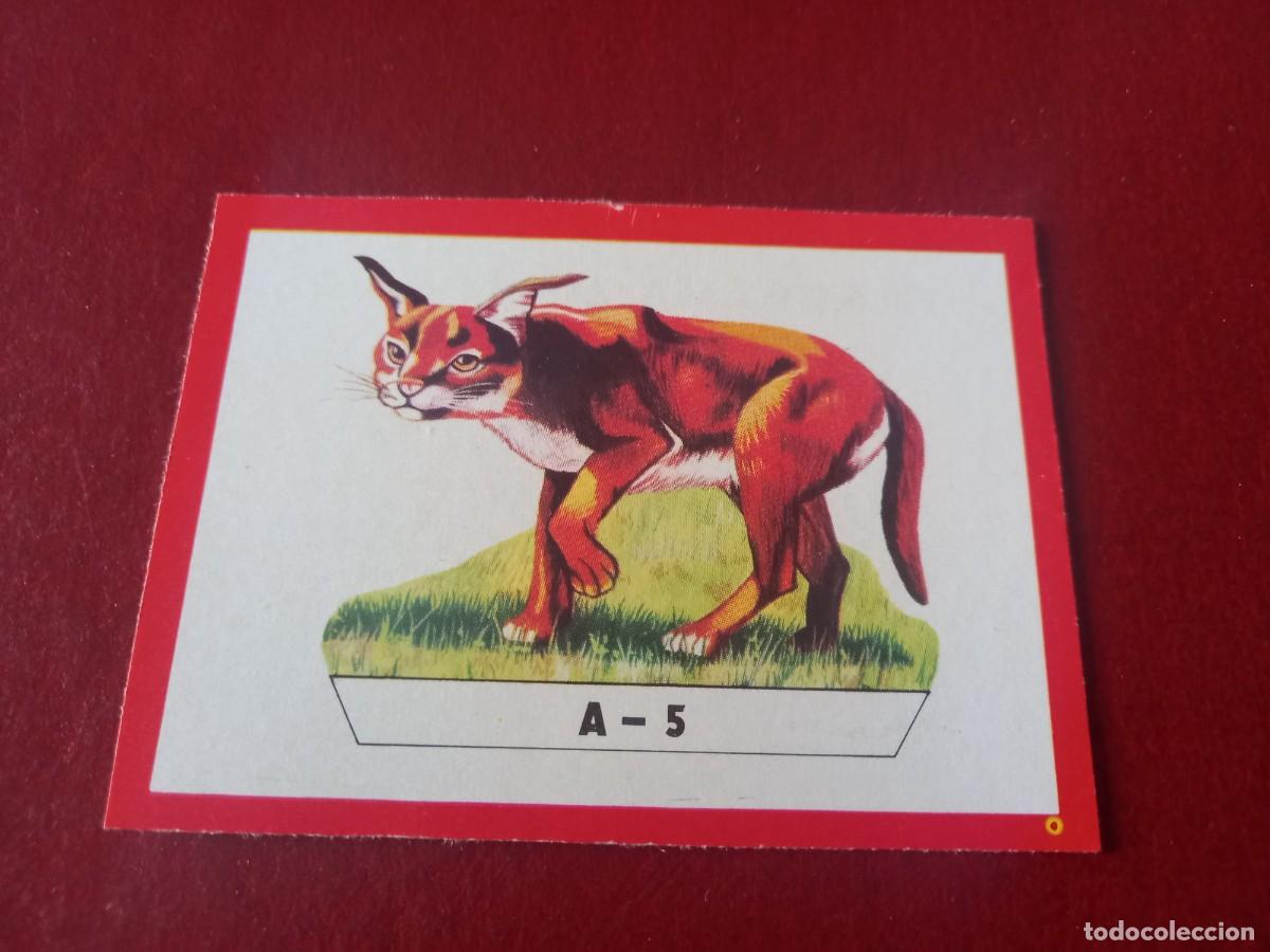 Coleccionismo Cromos antiguos: Cromo A5 recortable para album Panorama Zoologico - ruiz romero