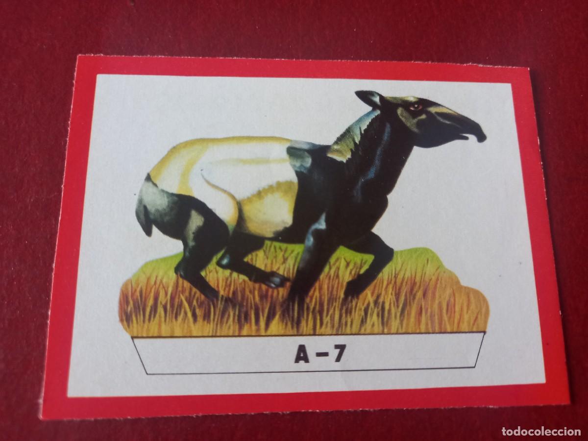 Coleccionismo Cromos antiguos: Cromo A7 recortable para album Panorama Zoologico - ruiz romero