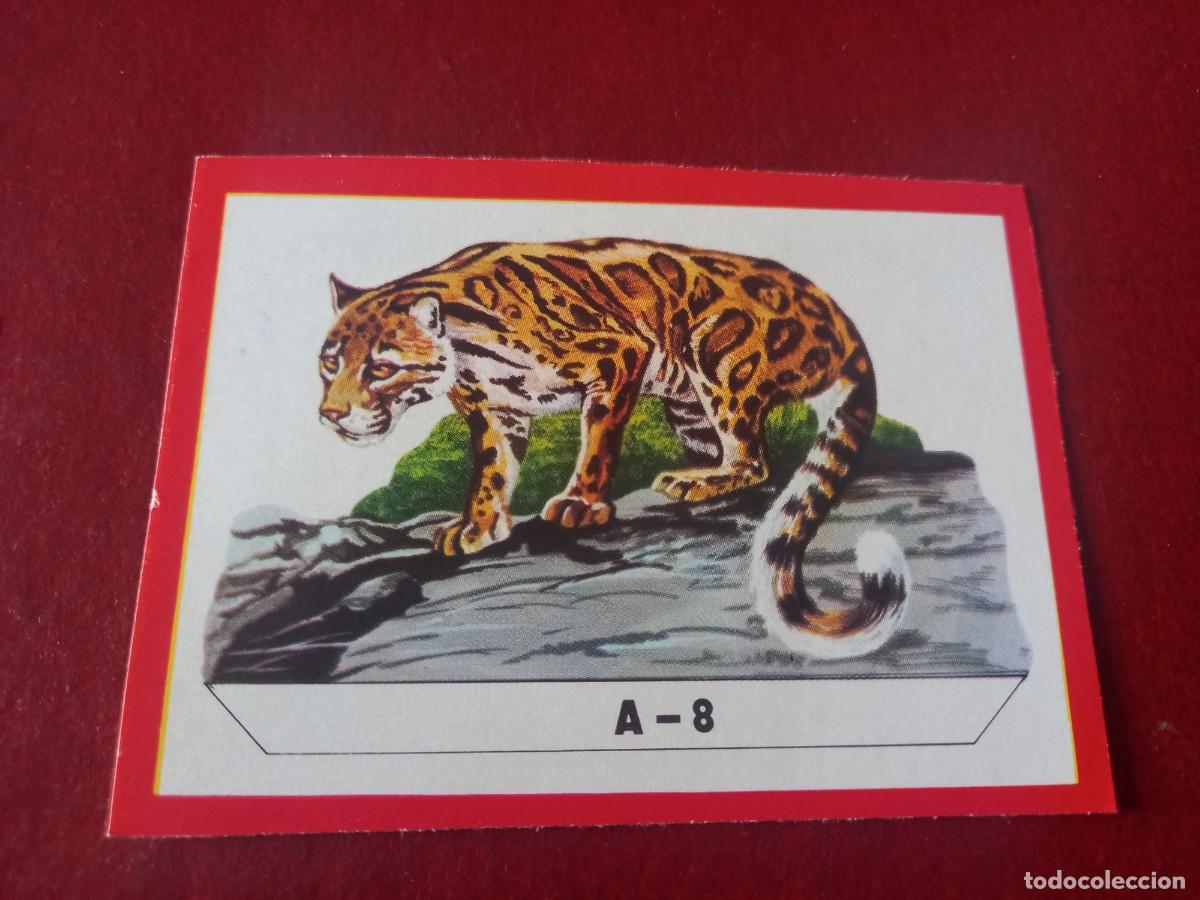 Coleccionismo Cromos antiguos: Cromo A8 recortable para album Panorama Zoologico - ruiz romero