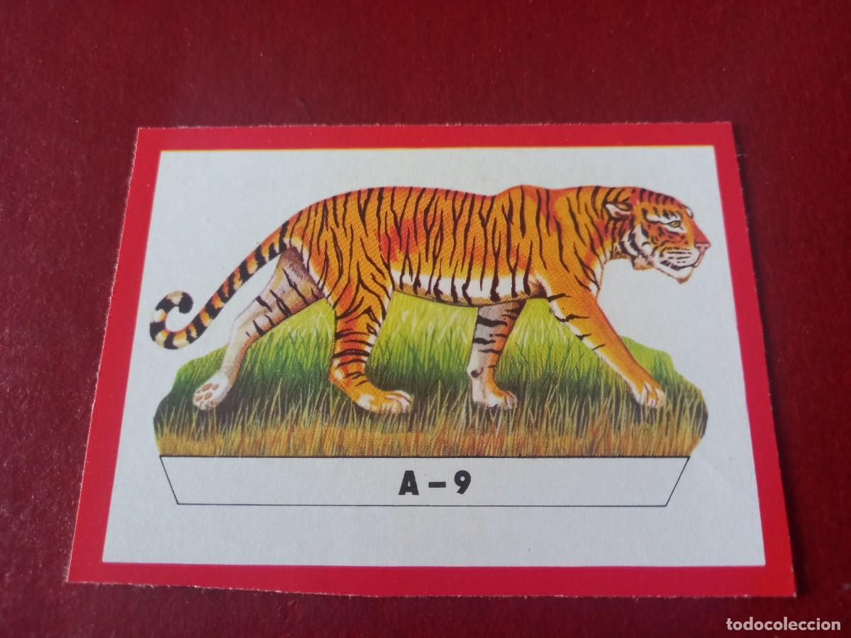Coleccionismo Cromos antiguos: Cromo A9 recortable para album Panorama Zoologico - ruiz romero