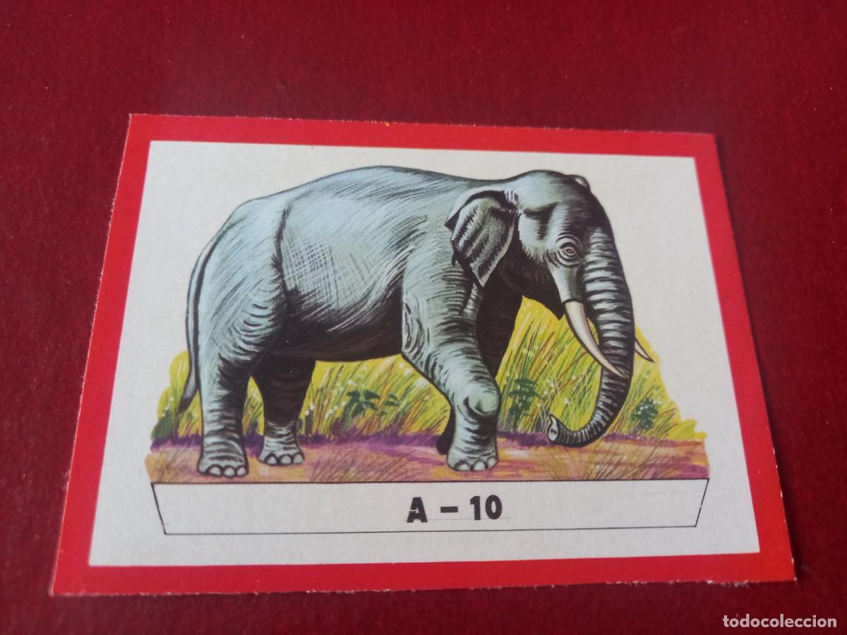 Coleccionismo Cromos antiguos: Cromo A10 recortable para album Panorama Zoologico - ruiz romero
